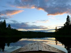 Beautiful landscape